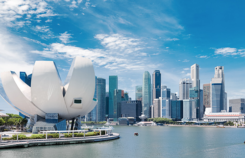 Logistics & supply chain solutions tailored for you - First Lane Deliveries