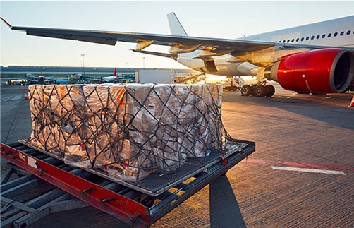 Innovative Healthcare and Medical Logistics Solutions - First Lane Deliveries